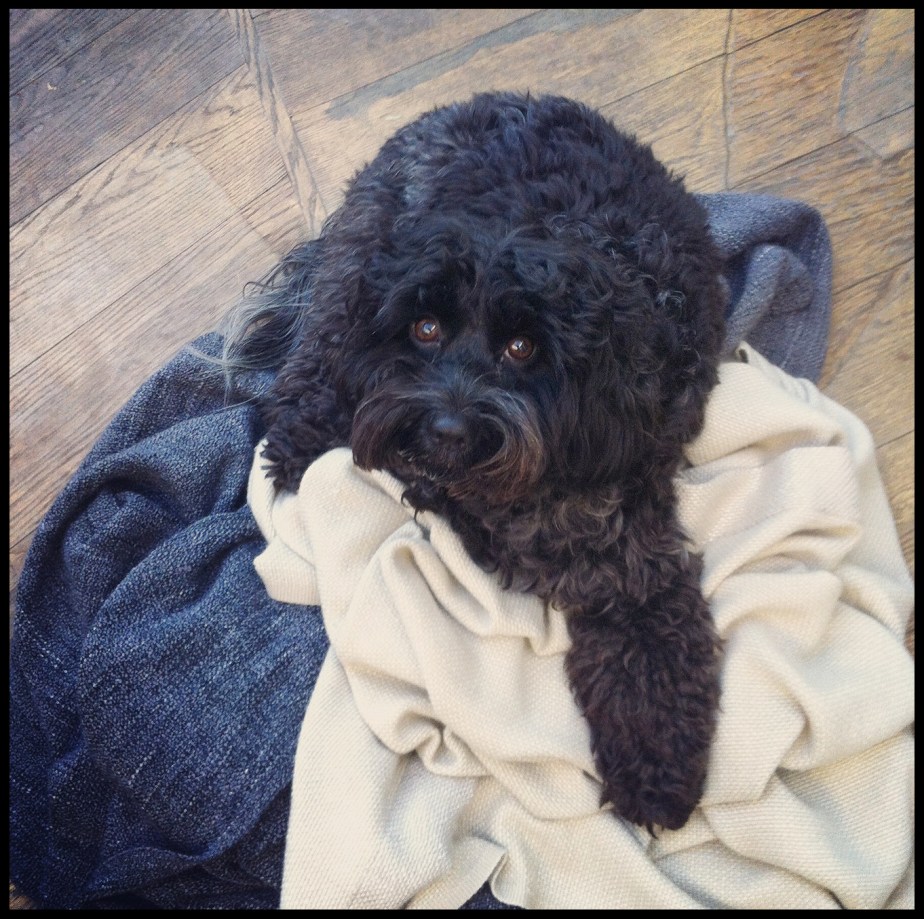 Muddle and Melodrama in&nbsp;Madrid!